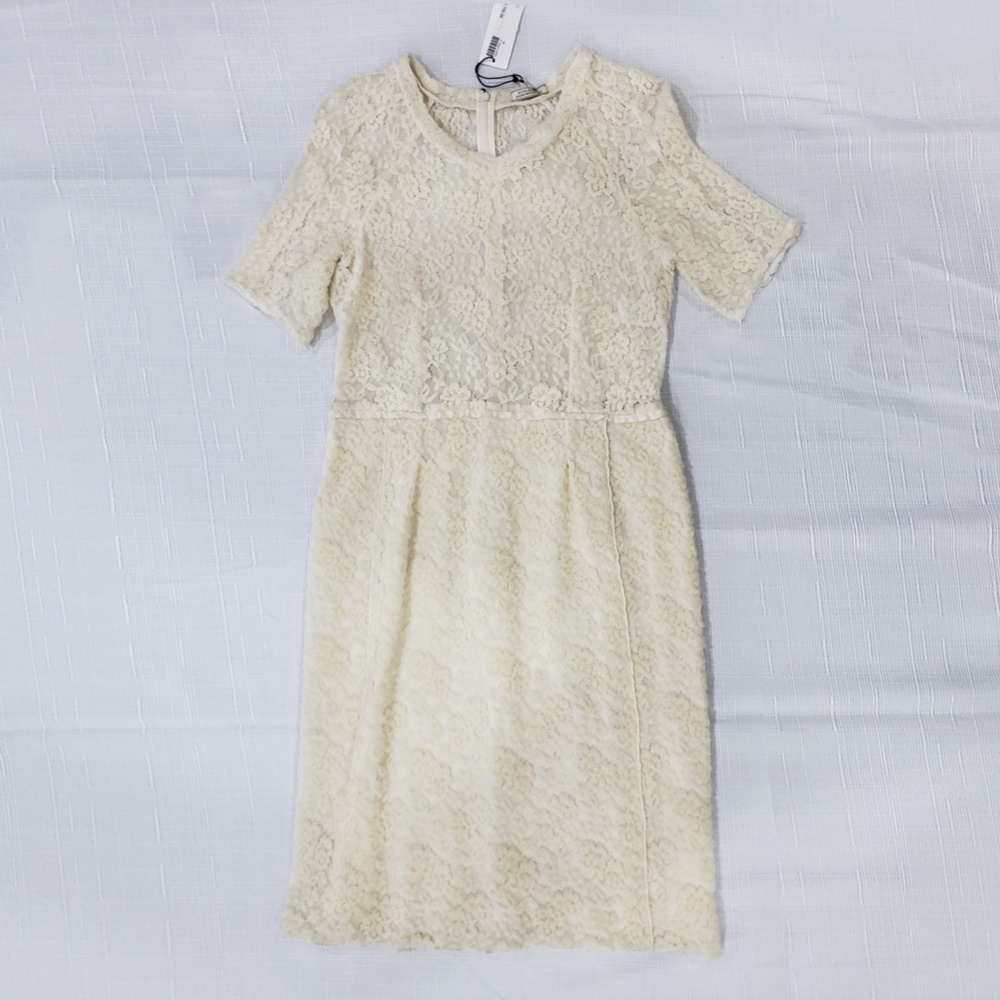 Brand New Nina Ricci Ecru Lace Dress Size 46/12 W/ Embroidered Floral Detailing